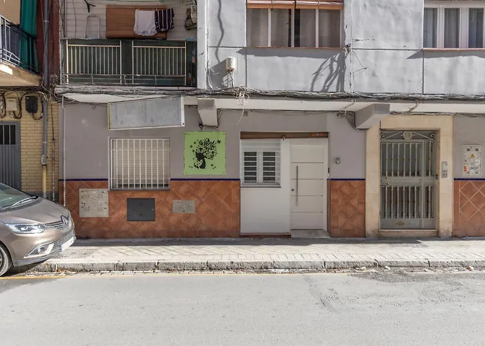 Siesta Dilar